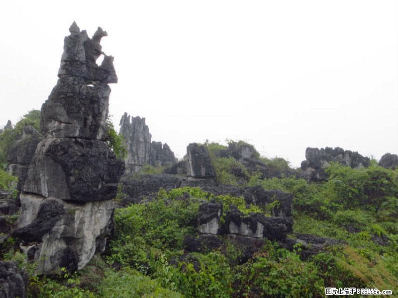 桂林旅游名城景点:灌阳文市石林 - 游山玩水 - 孝感生活社区 - 孝感28生活网 xiaogan.28life.com