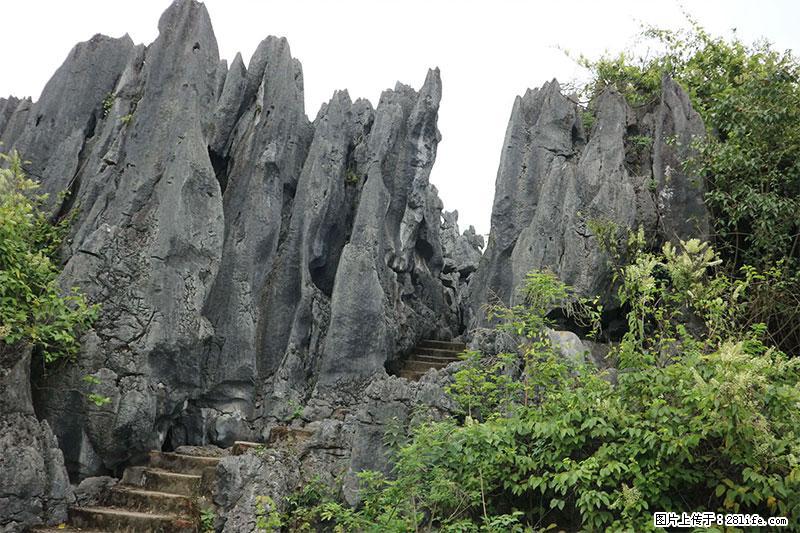 桂林旅游名城景点:灌阳文市石林 - 游山玩水 - 孝感生活社区 - 孝感28生活网 xiaogan.28life.com