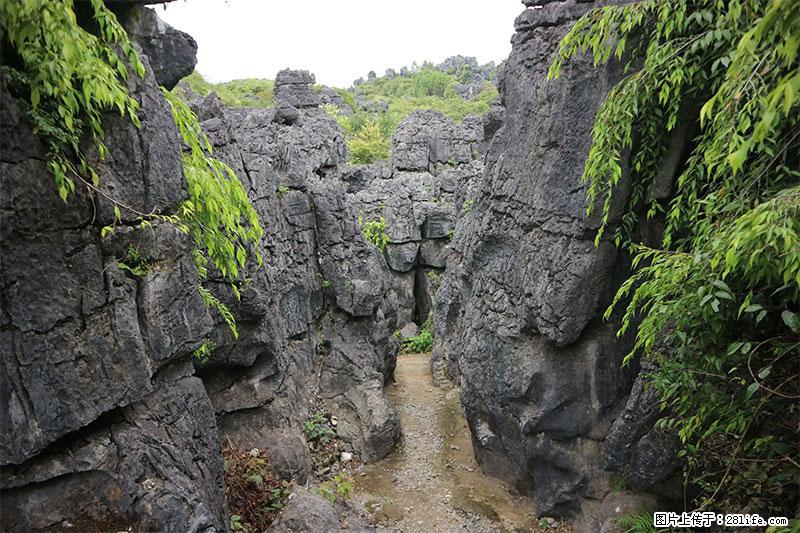 桂林旅游名城景点:灌阳文市石林 - 游山玩水 - 孝感生活社区 - 孝感28生活网 xiaogan.28life.com