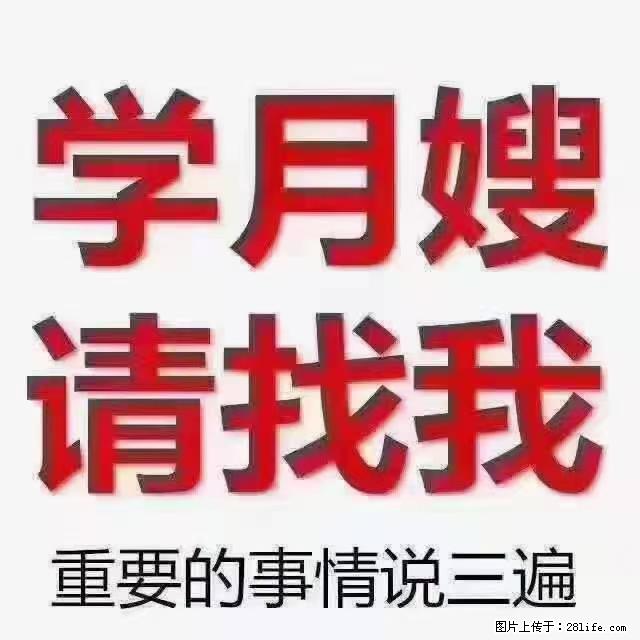 【招聘】月嫂,上海徐汇区 - 职场交流 - 孝感生活社区 - 孝感28生活网 xiaogan.28life.com