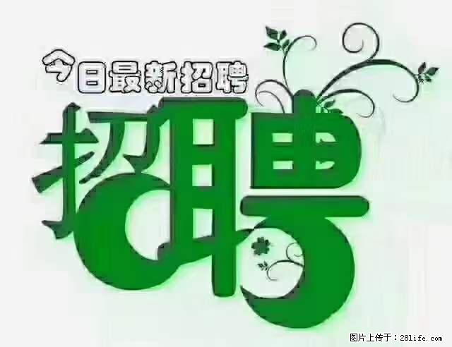 上海隔离酒店招人:55岁以下 男女不限 - 餐饮/酒店/旅游 - 招聘求职 - 孝感分类信息 - 孝感28生活网 xiaogan.28life.com
