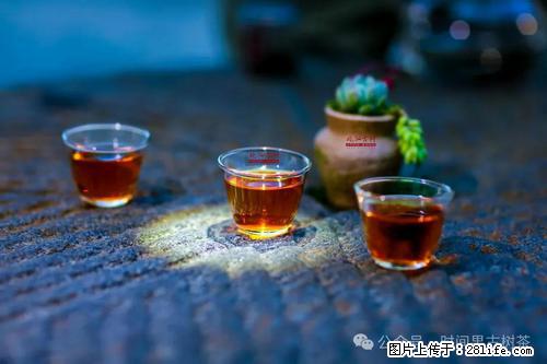 时间果百年古树2025年春红茶 - 购物交流 - 孝感生活社区 - 孝感28生活网 xiaogan.28life.com