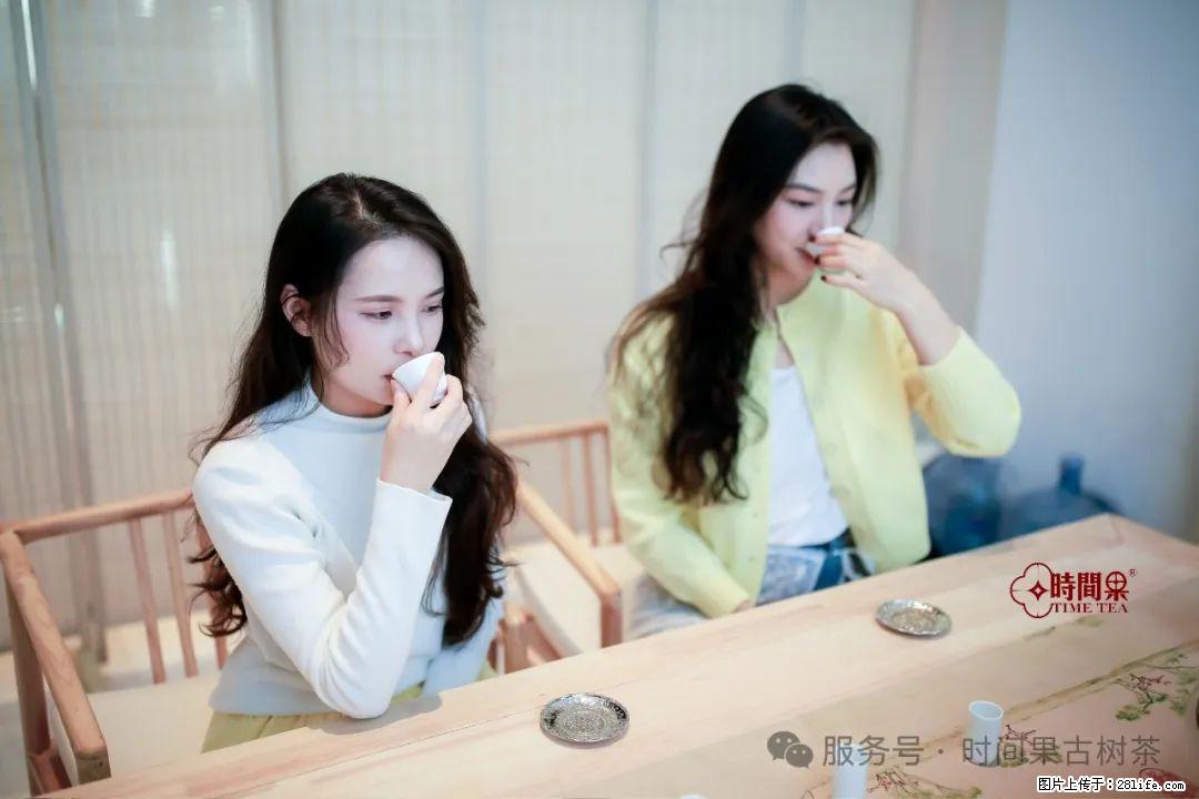 时间果百年古树龙珠普洱生茶 - 购物交流 - 孝感生活社区 - 孝感28生活网 xiaogan.28life.com