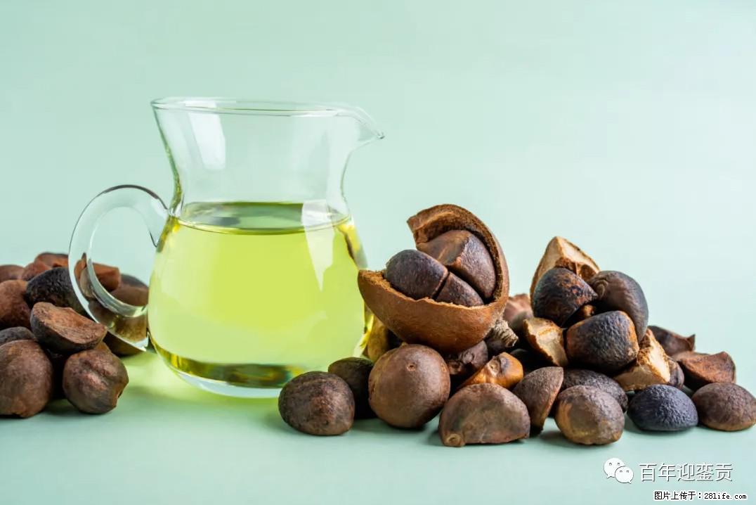 世界没有真相，只有认知，最好的食用油是中国的山茶油！ - 孝感生活资讯 - 孝感28生活网 xiaogan.28life.com