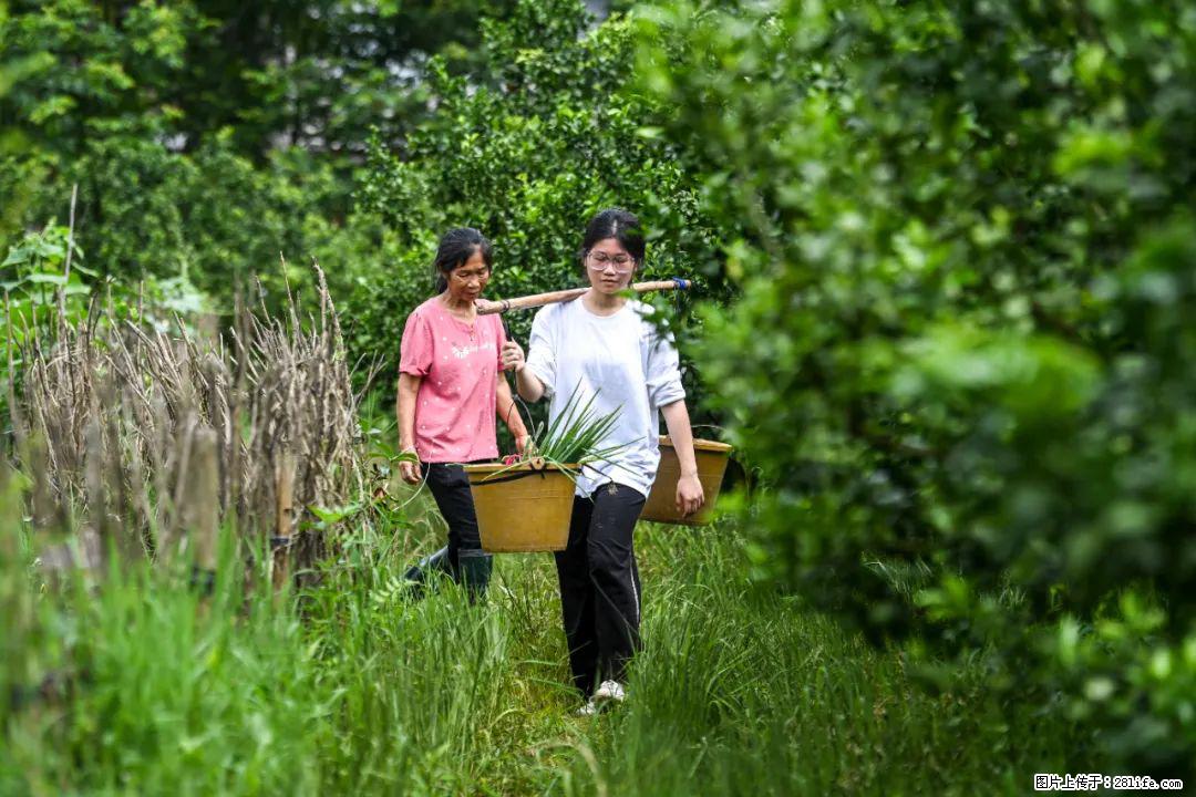 全网追的“扁担女孩”,找了一份暑假工,时薪12元 - 孝感生活资讯 - 孝感28生活网 xiaogan.28life.com