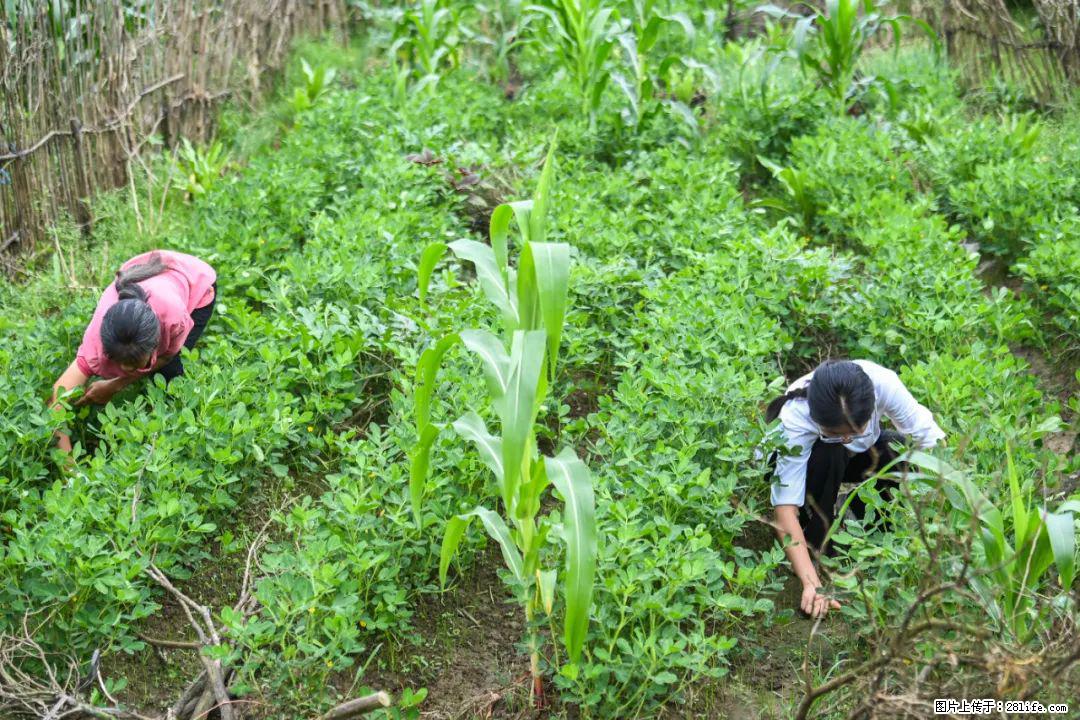 全网追的“扁担女孩”,找了一份暑假工,时薪12元 - 孝感生活资讯 - 孝感28生活网 xiaogan.28life.com