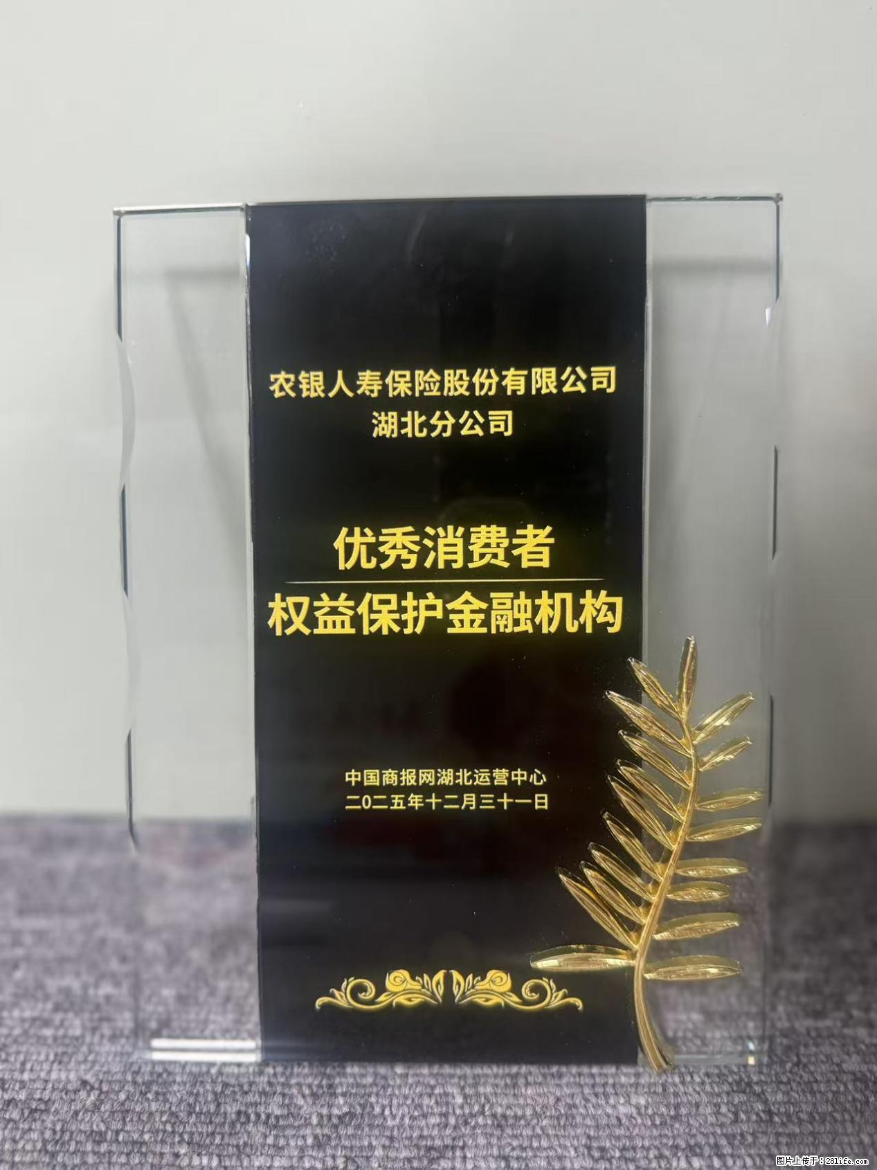 农银人寿湖北分公司荣获中国商报网颁发2025年度“优秀消费者权益保护金融机构” - 孝感生活资讯 - 孝感28生活网 xiaogan.28life.com