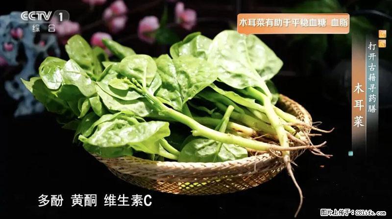 比牛奶补钙还厉害！凉血解毒、稳血糖...这菜冬天必吃，很多人却当草 - 孝感生活资讯 - 孝感28生活网 xiaogan.28life.com