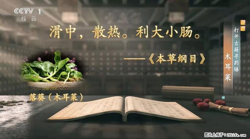 比牛奶补钙还厉害！凉血解毒、稳血糖...这菜冬天必吃，很多人却当草 - 孝感生活资讯 - 孝感28生活网 xiaogan.28life.com