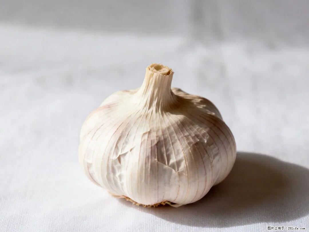 关于大蒜，除了“天然抗生素”，这4个谣言更该警惕! - 孝感生活资讯 - 孝感28生活网 xiaogan.28life.com