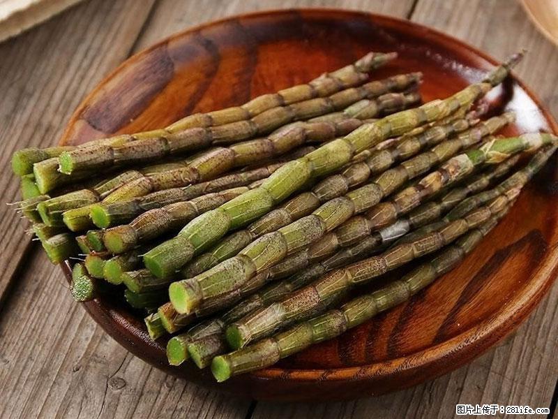 铁皮石斛的作用与功能主治 - 孝感生活资讯 - 孝感28生活网 xiaogan.28life.com