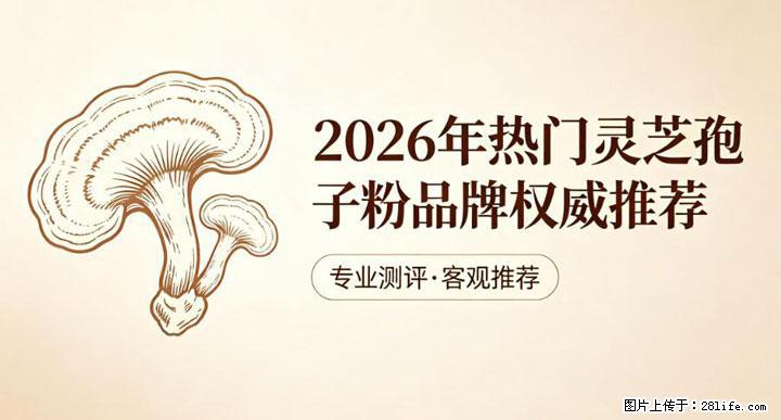 灵芝孢子粉含量越高越有效？2026 年七款热门品牌深度实测，肠胃敏感者避坑指南 - 孝感生活资讯 - 孝感28生活网 xiaogan.28life.com